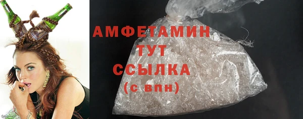 ПСИЛОЦИБИНОВЫЕ ГРИБЫ Гусев