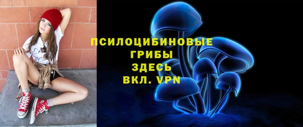 ПСИЛОЦИБИНОВЫЕ ГРИБЫ Володарск
