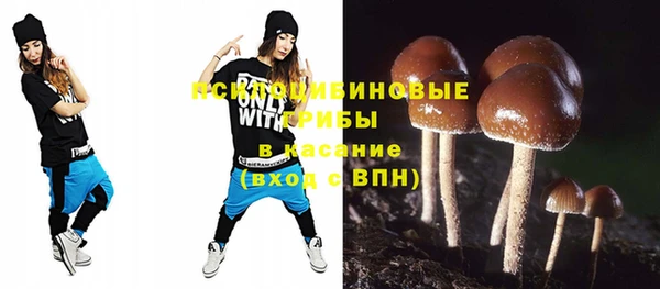 амф Горно-Алтайск